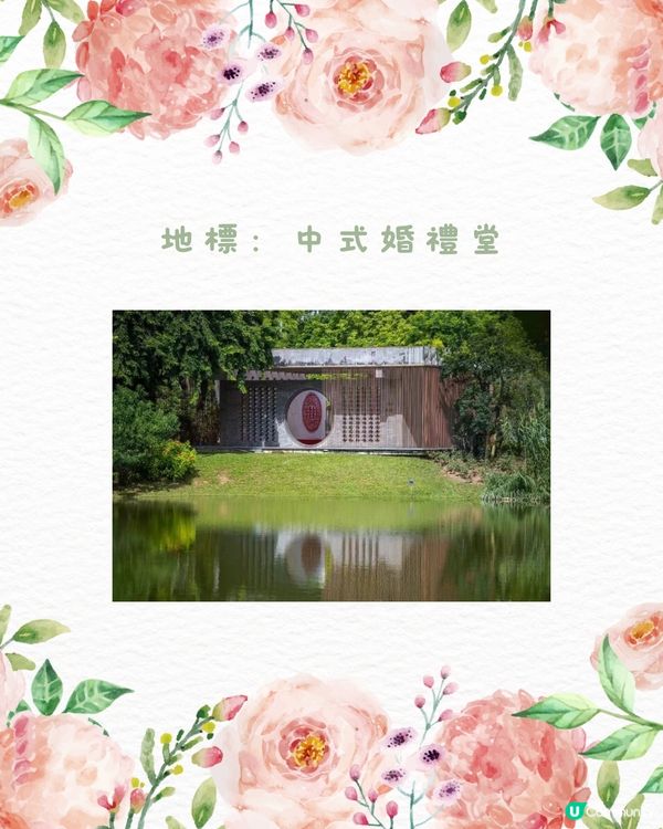 🌹深圳市中心絕美莫奈花園 浪漫花海 地鐵直達🚇