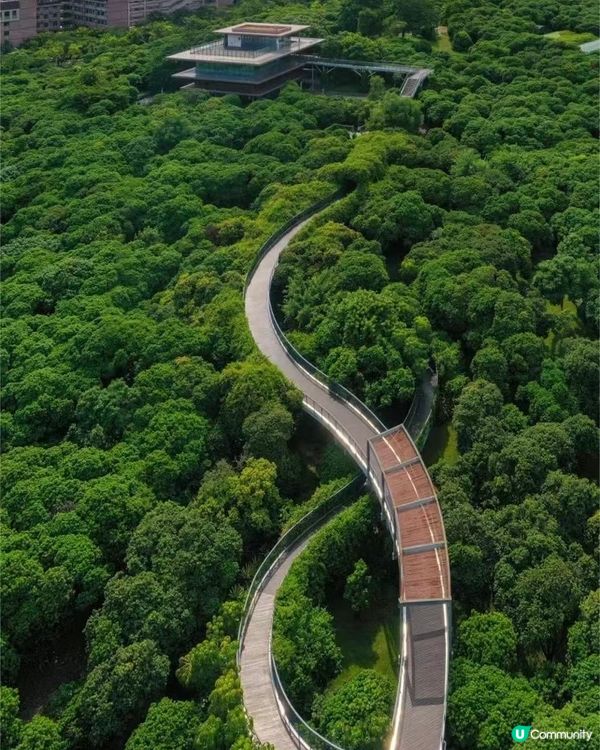 🌹深圳市中心絕美莫奈花園 浪漫花海 地鐵直達🚇