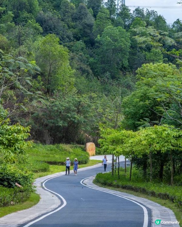 🌹深圳市中心絕美莫奈花園 浪漫花海 地鐵直達🚇