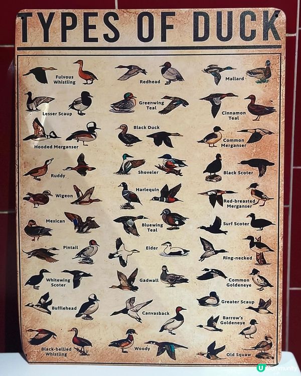 法國鴨肉主題餐廳