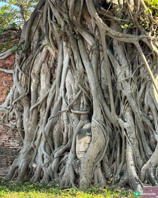 泰國大城區一日遊