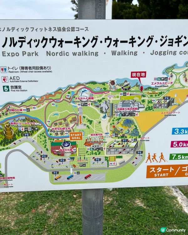 戀戀沖繩冬日之旅