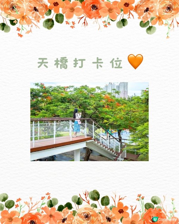 🌳深圳隱世森林仙景 最紅鳳凰花海回歸！⛲️