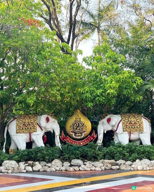 52度高溫點樣安排動物園行程？