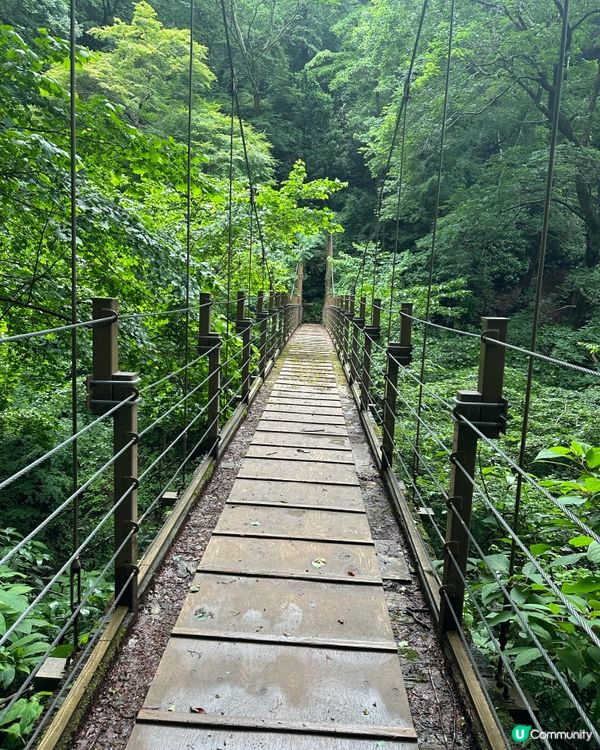 東京郊遊@高尾山