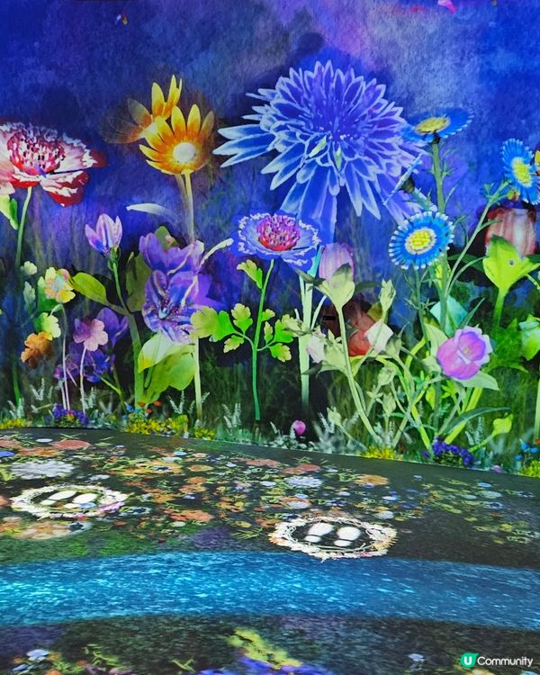  NAKED & FLOWER 香港站