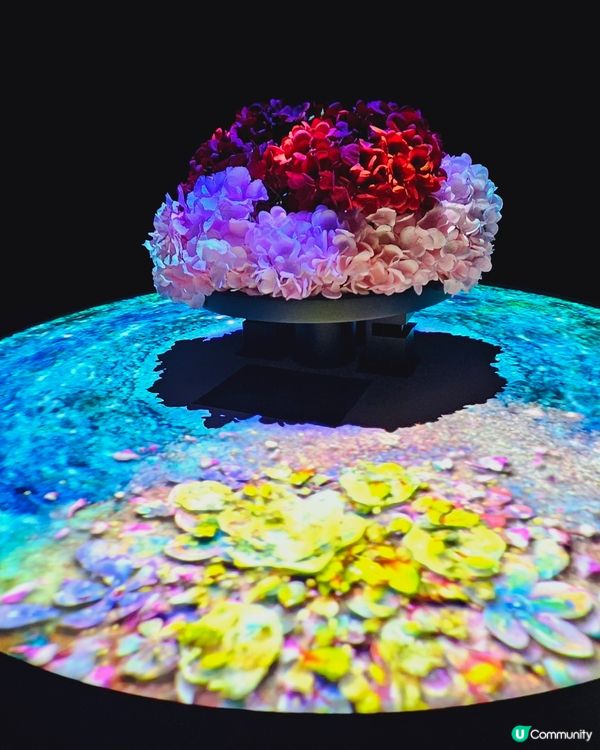  NAKED & FLOWER 香港站