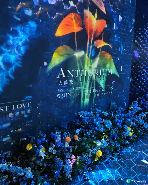  NAKED & FLOWER 香港站