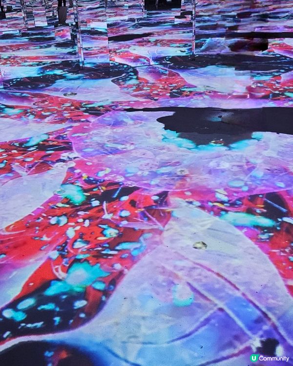  NAKED & FLOWER 香港站