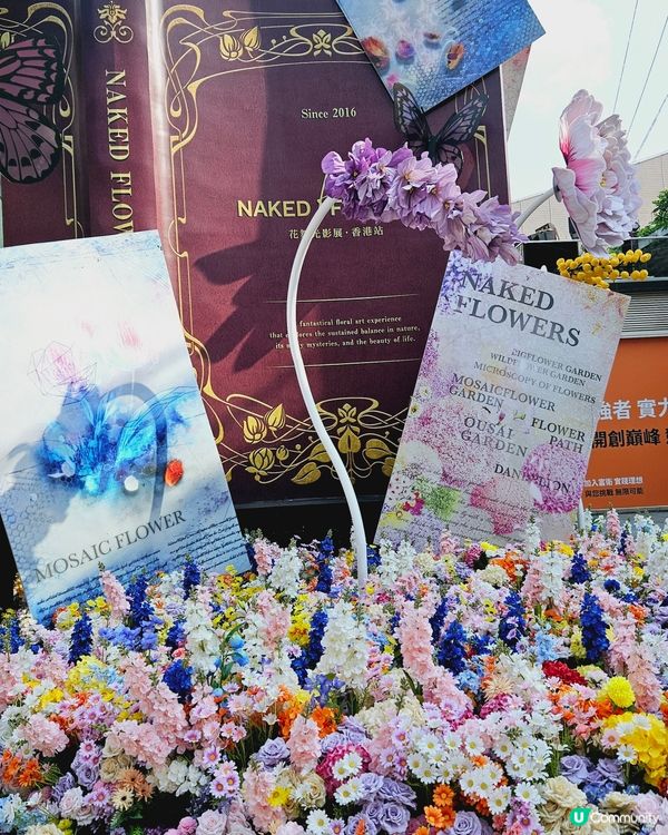  NAKED & FLOWER 香港站