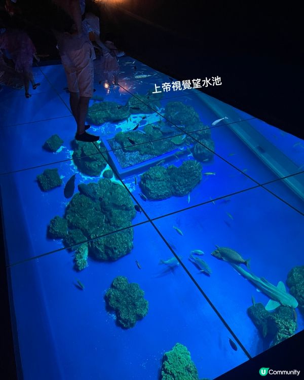 沖繩最新水族館，親子必去，DMM kariyushi水族館