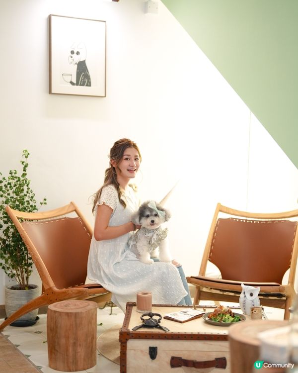 人氣貓頭鷹𝘊𝘢𝘧𝘦 • 西貢