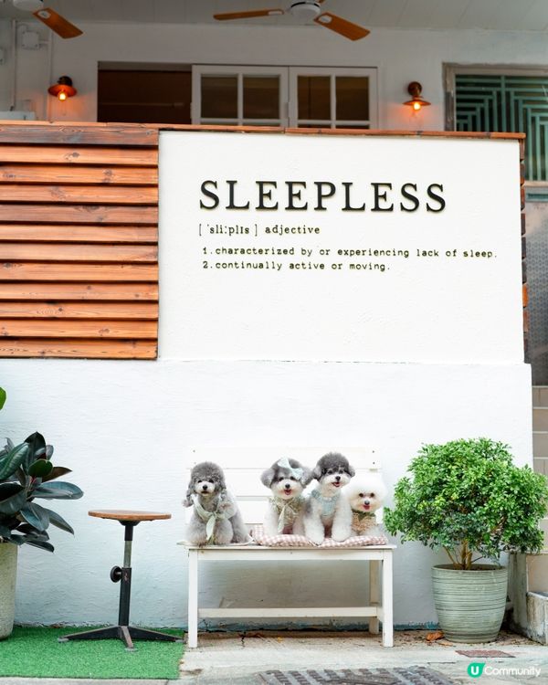 人氣貓頭鷹𝘊𝘢𝘧𝘦 • 西貢