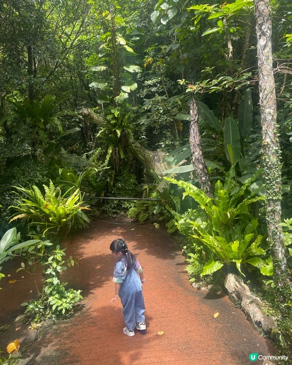 沖繩親子好去處🦖恐龍迷必到🦖山原之森·亞熱帶恐龍主題森林公園