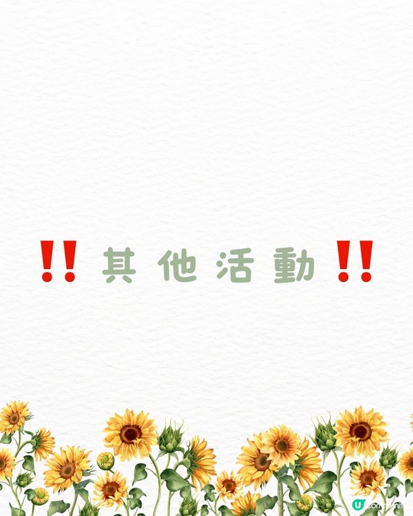 🆓深圳免費入園 超大面積向日葵花海🌻