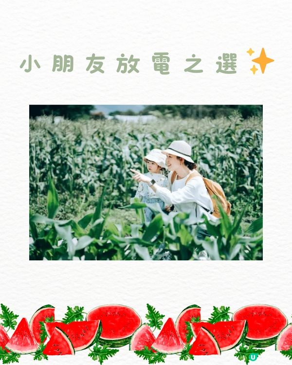 🆓深圳免費入園 超大面積向日葵花海🌻