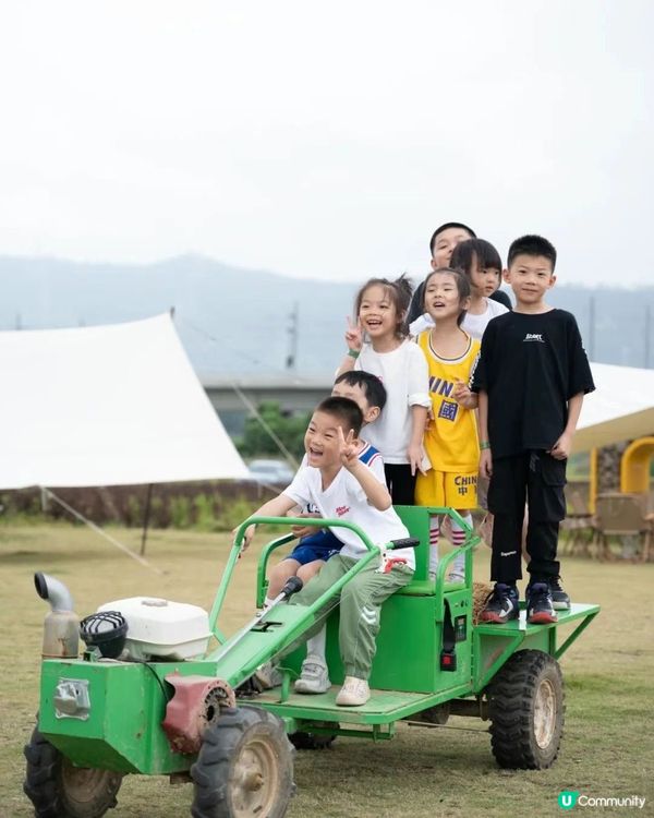 🆓深圳免費入園 超大面積向日葵花海🌻