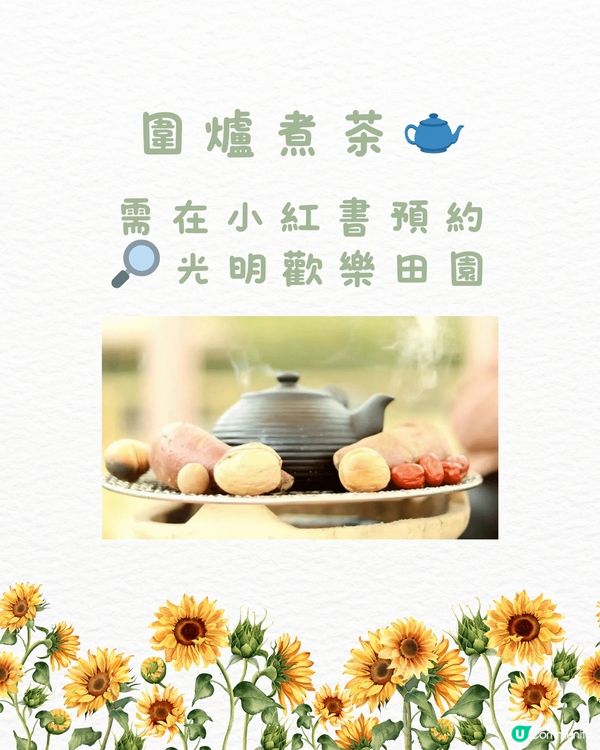 🆓深圳免費入園 超大面積向日葵花海🌻