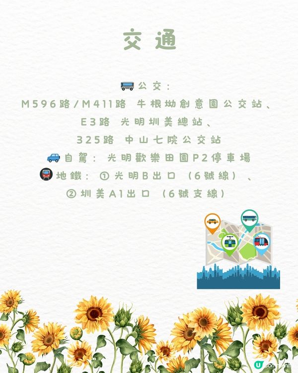 🆓深圳免費入園 超大面積向日葵花海🌻