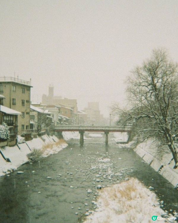 高山一日遊 打卡 美食 