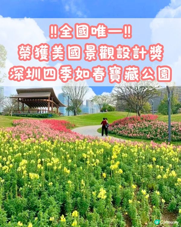 ‼️全國唯一榮獲美國景觀設計獎 深圳四季如春寶藏公園🌳💐