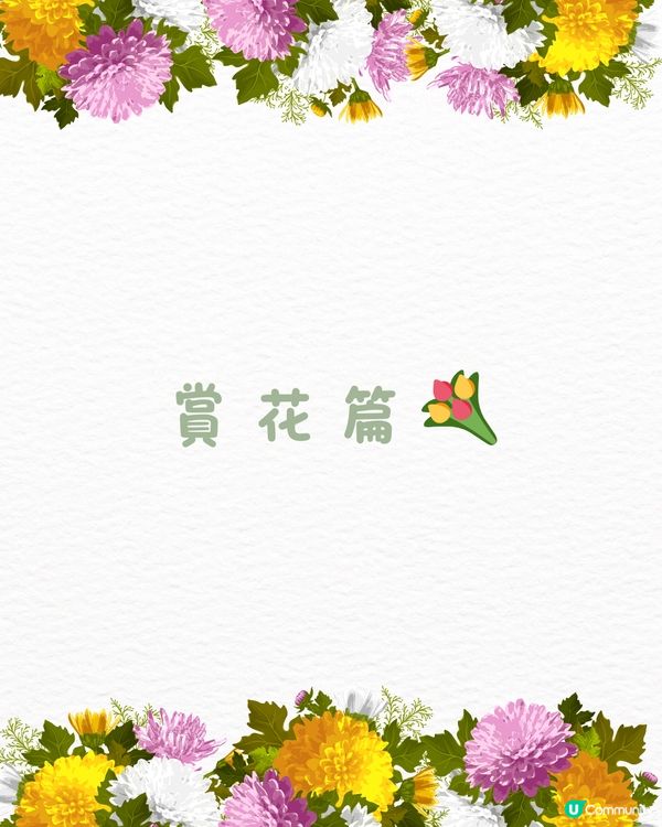‼️全國唯一榮獲美國景觀設計獎 深圳四季如春寶藏公園🌳💐