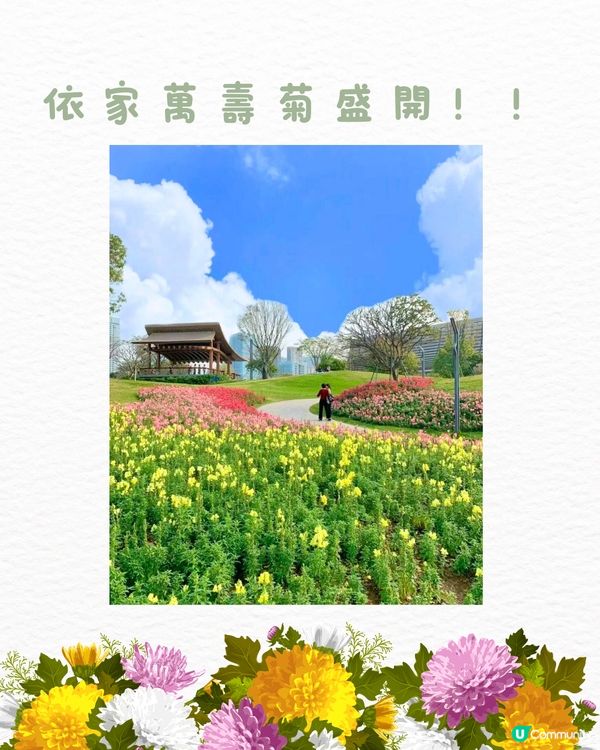 ‼️全國唯一榮獲美國景觀設計獎 深圳四季如春寶藏公園🌳💐