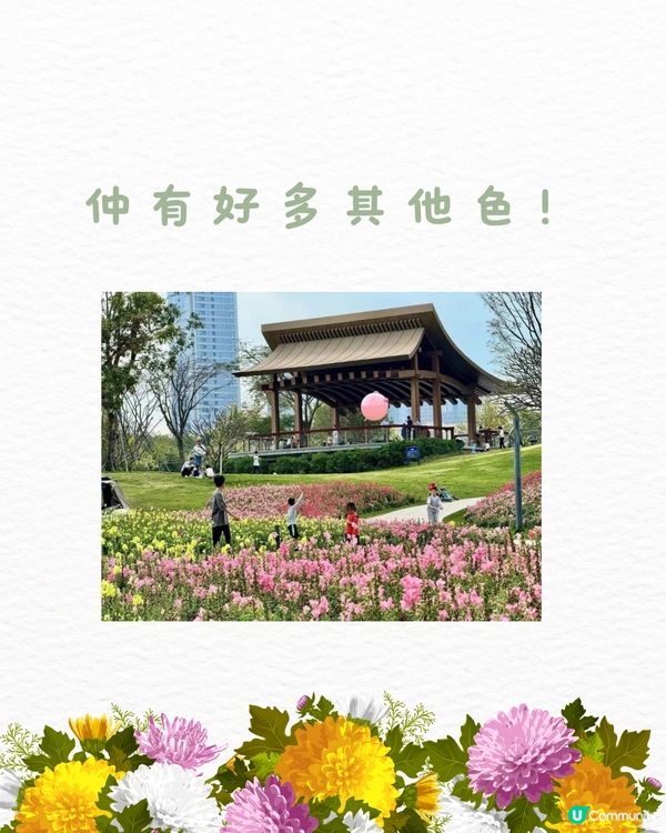 ‼️全國唯一榮獲美國景觀設計獎 深圳四季如春寶藏公園🌳💐