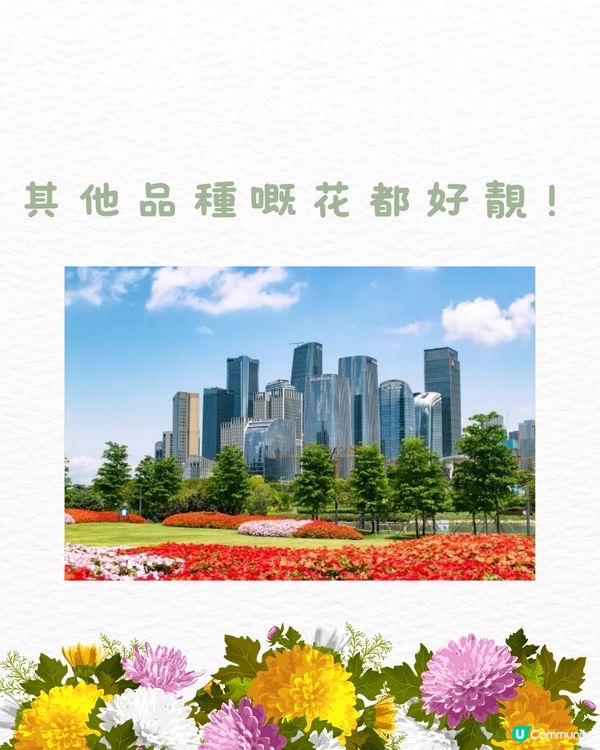 ‼️全國唯一榮獲美國景觀設計獎 深圳四季如春寶藏公園🌳💐