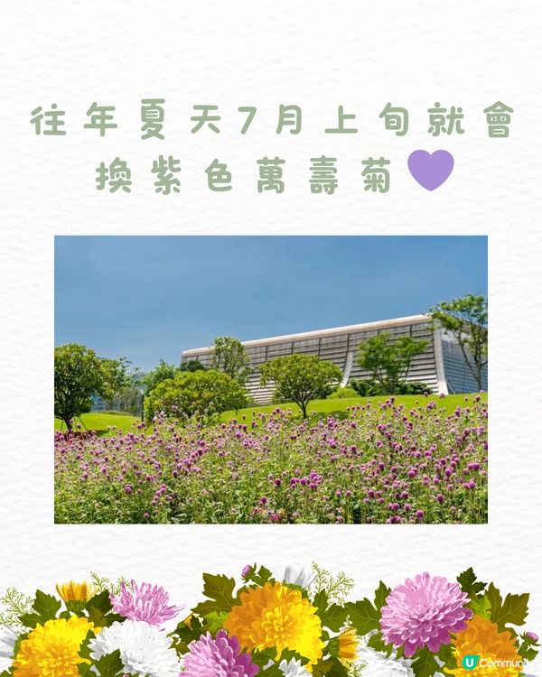 ‼️全國唯一榮獲美國景觀設計獎 深圳四季如春寶藏公園🌳💐