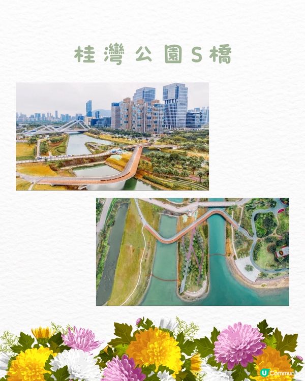 ‼️全國唯一榮獲美國景觀設計獎 深圳四季如春寶藏公園🌳💐