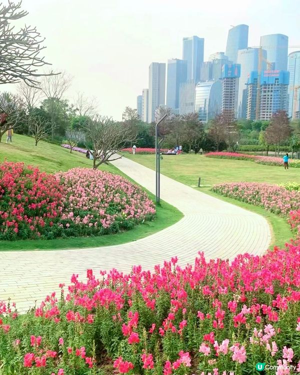‼️全國唯一榮獲美國景觀設計獎 深圳四季如春寶藏公園🌳💐
