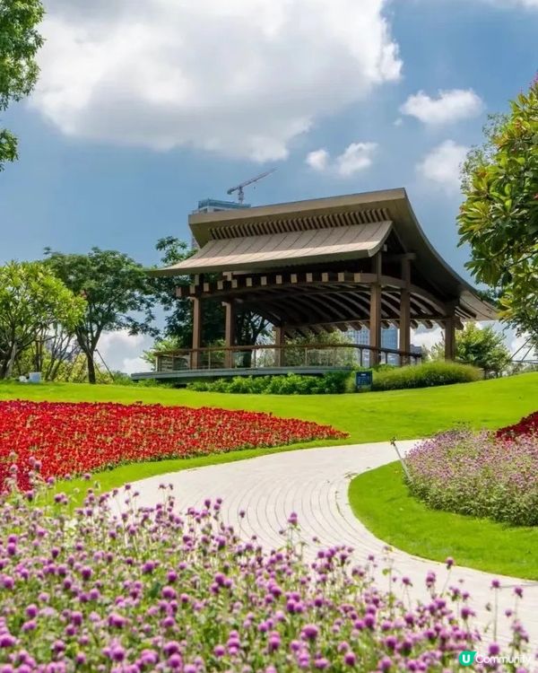 ‼️全國唯一榮獲美國景觀設計獎 深圳四季如春寶藏公園🌳💐