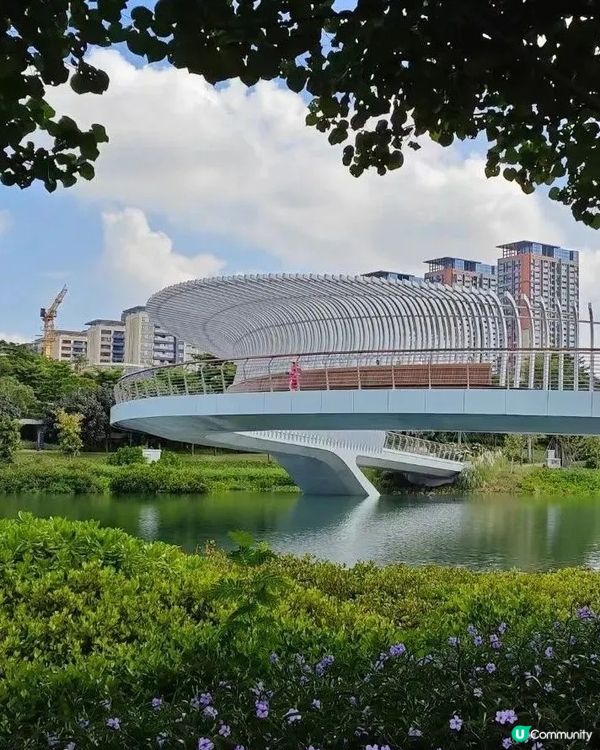 ‼️全國唯一榮獲美國景觀設計獎 深圳四季如春寶藏公園🌳💐