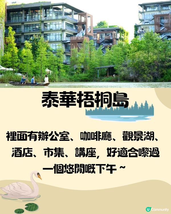 深圳泰華梧桐島一日遊🦆🌼附交通教學🚗免費入場🎫