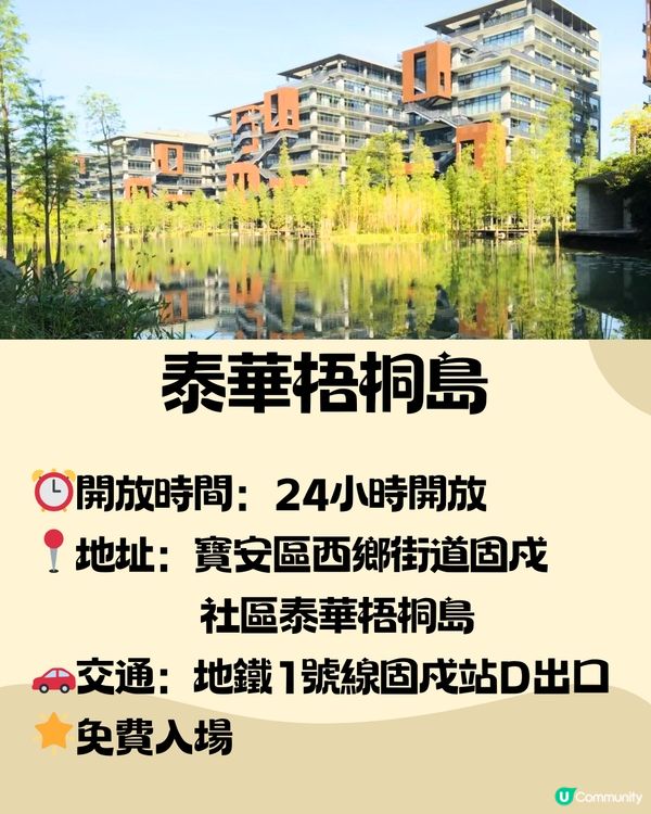 深圳泰華梧桐島一日遊🦆🌼附交通教學🚗免費入場🎫