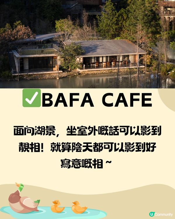 深圳泰華梧桐島一日遊🦆🌼附交通教學🚗免費入場🎫