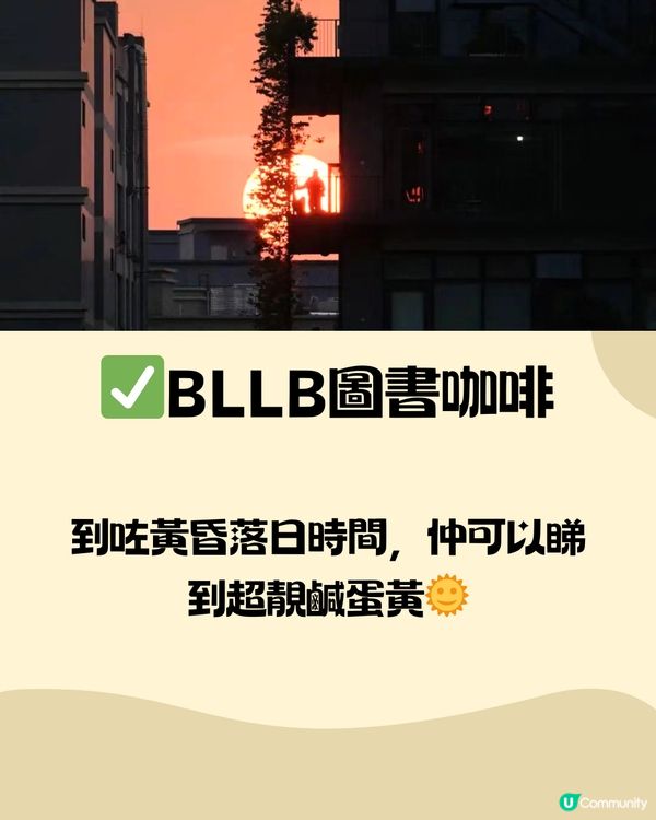 深圳泰華梧桐島一日遊🦆🌼附交通教學🚗免費入場🎫