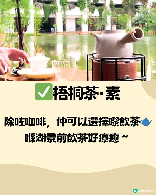 深圳泰華梧桐島一日遊🦆🌼附交通教學🚗免費入場🎫