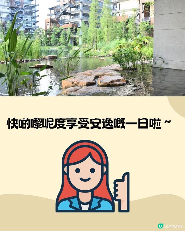 深圳泰華梧桐島一日遊🦆🌼附交通教學🚗免費入場🎫