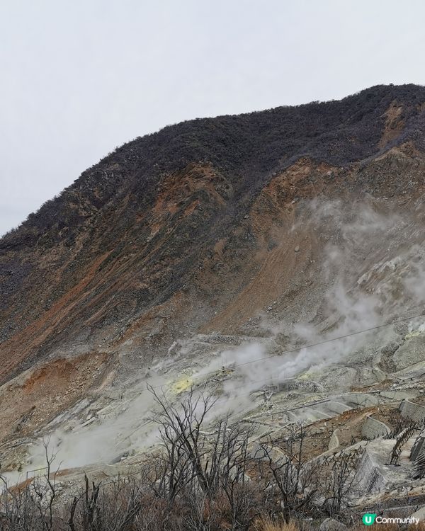 箱根湯本享受溫泉寫意旅遊