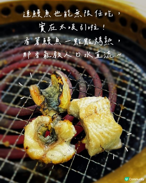 超抵食‼️$200以內活鰻、和牛、生蠔無限放題😆