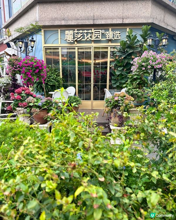 珠海仙氣花園巴黎鐵塔下午茶