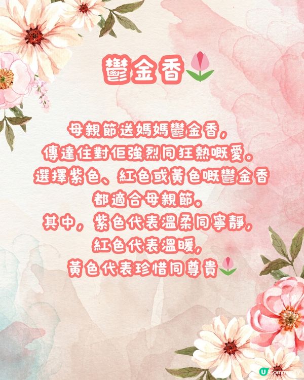 💐深圳6大花店推介 最後有送花指南‼️