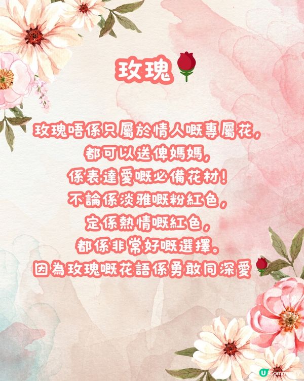 💐深圳6大花店推介 最後有送花指南‼️