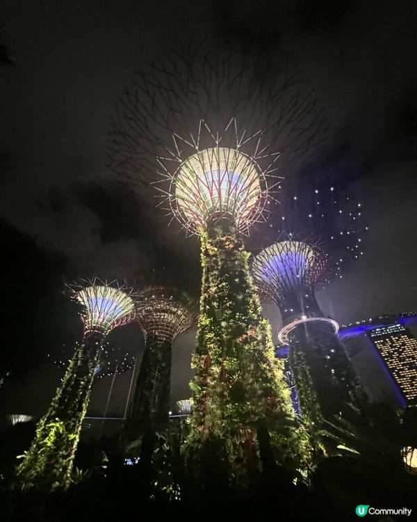 Singapore Gardens by the bay🌸🌼