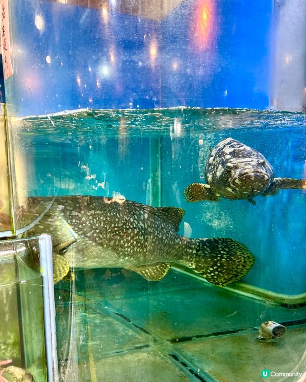 旺角區必食潮州菜