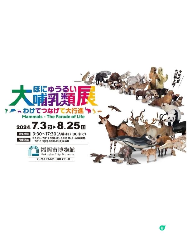 大哺乳類展3　《福岡篇》3/7-25/8