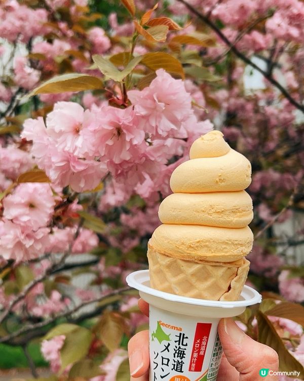 櫻花樹下吃雪糕🍦