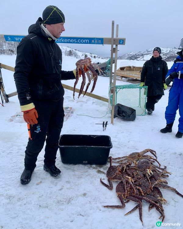 🇳🇴挪威捉帝王蟹之旅🦀 無限任食